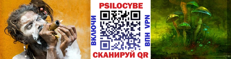 как найти   даркнет как зайти  Галлюциногенные грибы Cubensis  Ветлуга 